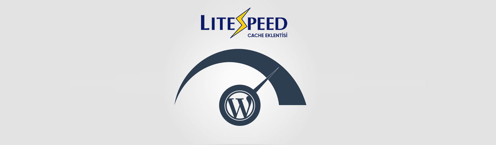 WordPress LiteSpeed ​​Cache Eklentisi Kurulumu ve Ayarları