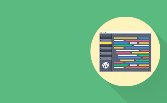 WordPress Web Sitesine Özel Kod Nasıl Eklenir
