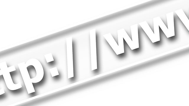 wploji-web-hosting-nedir-domain-nedir-ne-ise-yarar